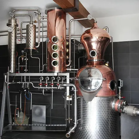 Πανσιόν Hirsch Ersingen